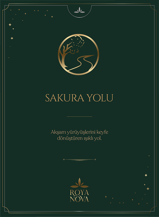 Sosyal Alanlar görseli 4